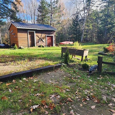 Chalet Nabu L'Ours - Riviere - Billard Saint-Alexis-des-Monts Exterior foto
